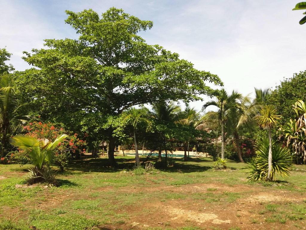 Kalipayan Beach Resort & Atlantis Dive Center Panglao Bagian luar foto