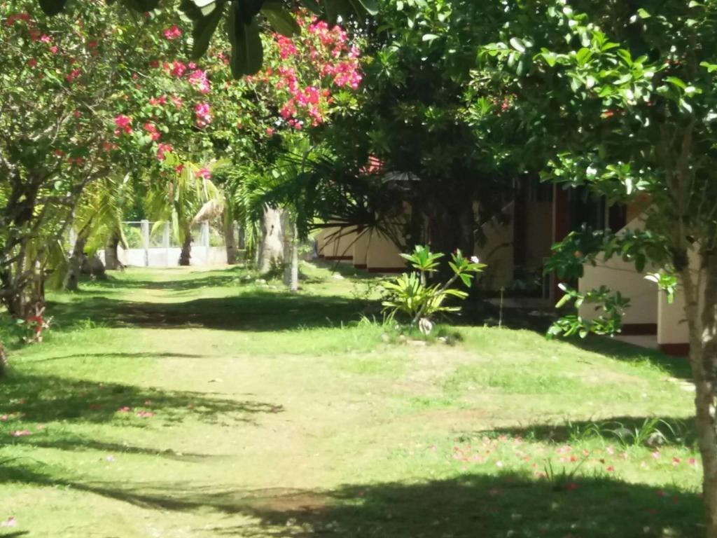 Kalipayan Beach Resort & Atlantis Dive Center Panglao Bagian luar foto