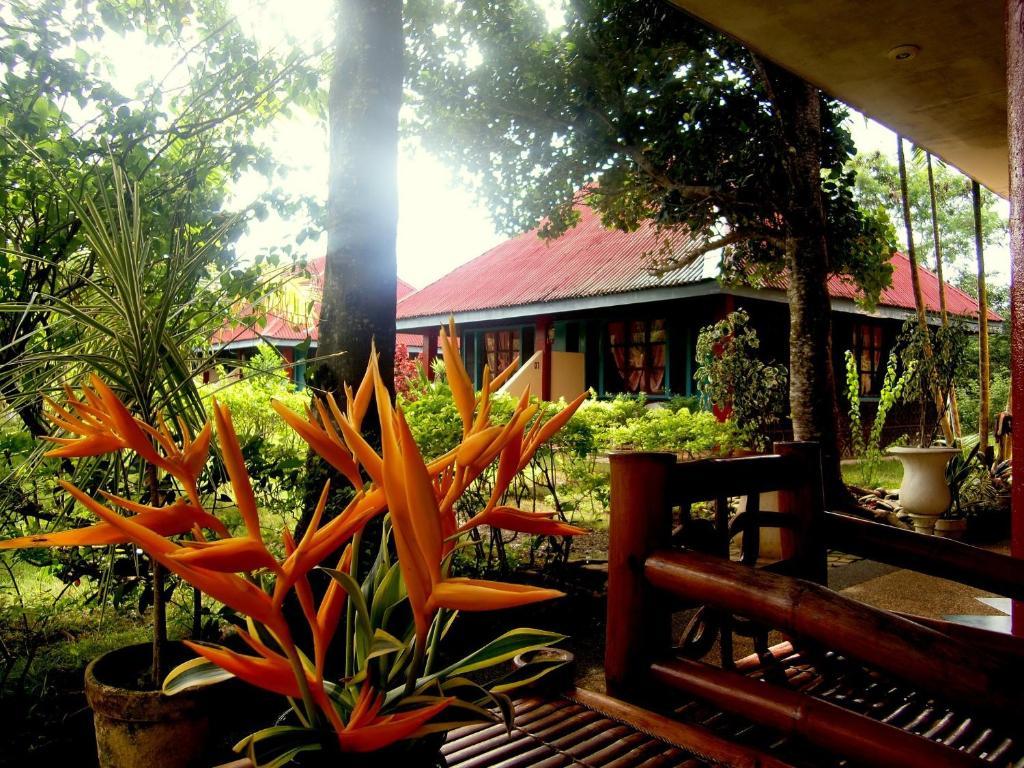 Kalipayan Beach Resort & Atlantis Dive Center Panglao Bagian luar foto